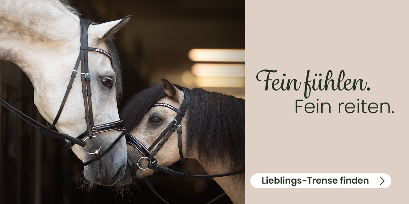 Fein Fühlen. Fein reiten. Lieblings-Trense finden