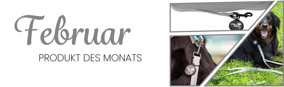 Produkt des Monats: Februar