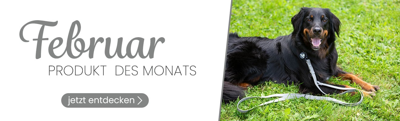 Produkt des Monats Januar. Jetzt entdecken