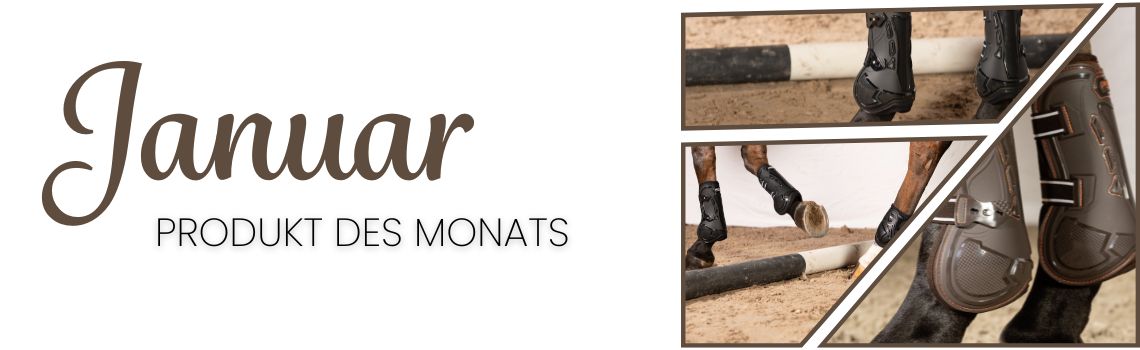 Produkt des Monats: Januar
