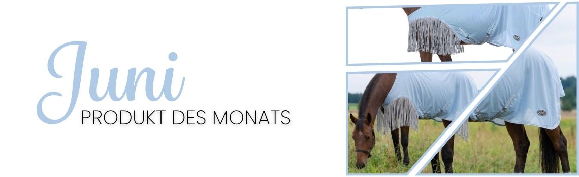 Produkt des Monats: Juni