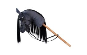 Hobby Horsing