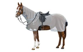 Paard