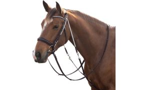 Overige hulpteugels & accessoires