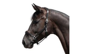 Leren halsters