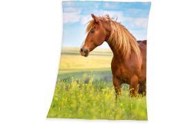 Geschenke für Reiter