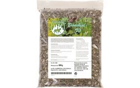 Atemwege & Bronchien