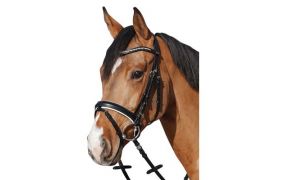 schwedisch kombiniert