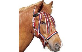 Halfter & Fliegenstirnbänder