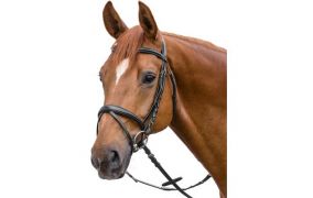 Cheval de Luxe Trensen SALE