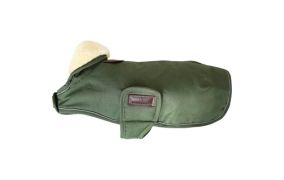 KENTUCKY DOGWEAR SALE