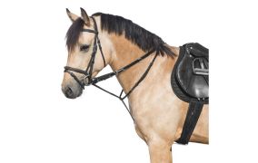 Overige hulpteugels & accessoires