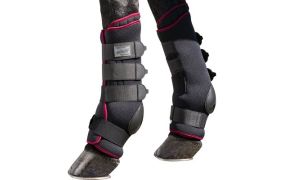 Stal-peesbeschermers