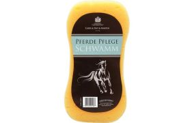 Schwämme & Schweißmesser