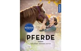 Jungpferdeausbildung