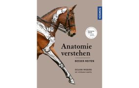 Pferdekauf, Anatomie & Pferdebeurteilung