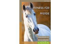 Fohlenaufzucht & alte Pferde