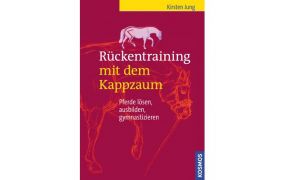Rückenschule & Massage