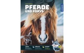 Reitlehren für Kinder & Jugendliche