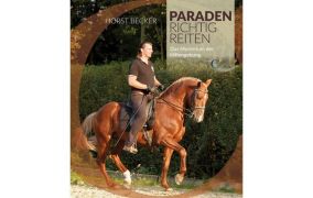 Dressurreiten