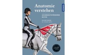 Springreiten