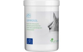 Atemwege & Bronchien