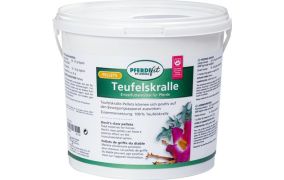 Muskulatur & Gelenke