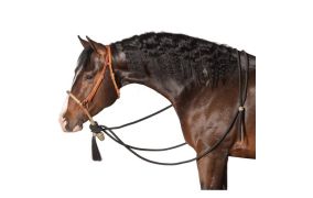 Western-paardenaccessoires