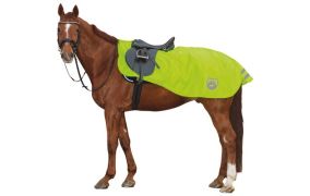 Uitrij- en nierendekens