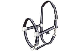 Halsters