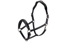 Leren halsters