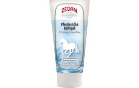 Regeneration & Hautpflege