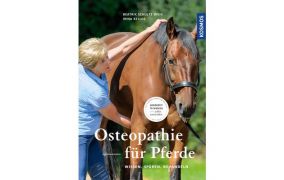 Haltung, Fütterung & Pferdegesundheit