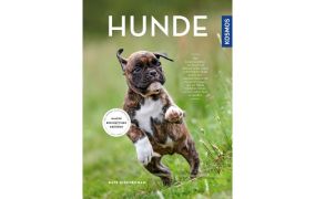 Hunde