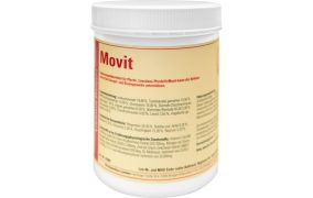 Muskulatur & Gelenke