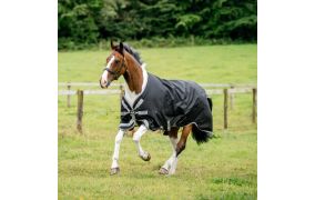 Horseware Amigo
