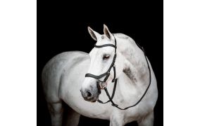 meer Horseware producten