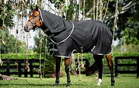 Horseware