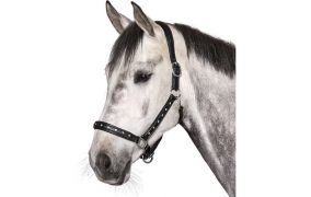 Halfter & Fressbremsen