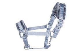 Cavallo Halfter & Stricke