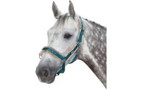 Eskadron Halfter SALE