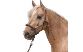 mehr L-pro West fürs Pferd