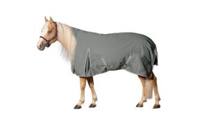 Passion 4Q Pferd SALE