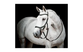 meer Horseware producten