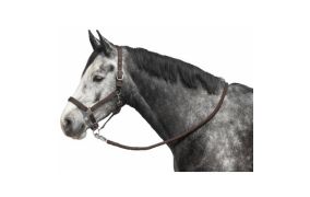 meer IRISh INNOVATION producten