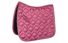 RIDE now voor het paard