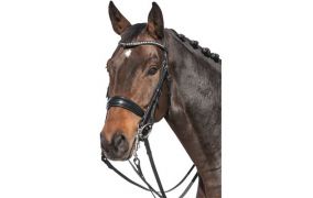 Geschenkideen ab 100 €