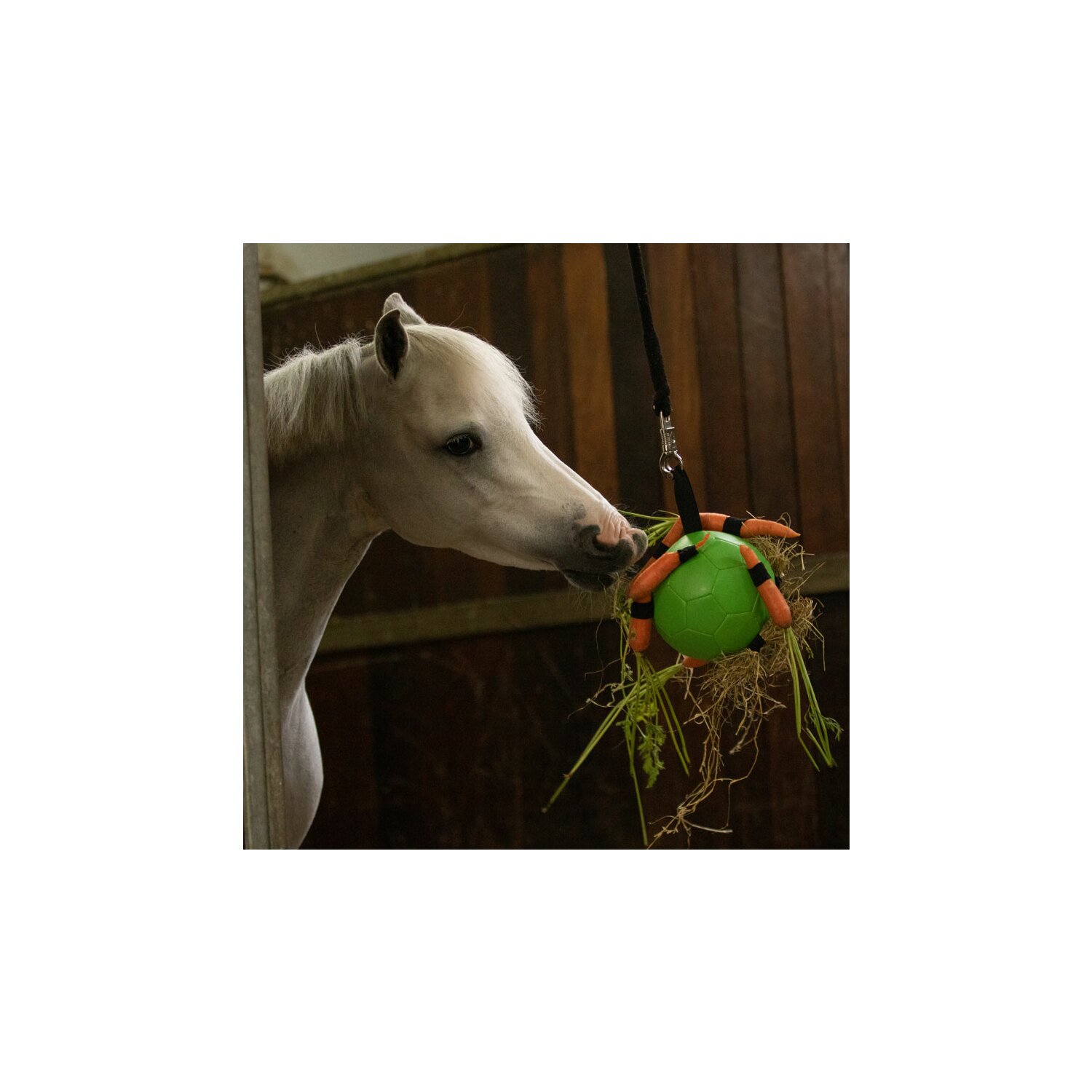 MAXIMUS Fun Play Ball – Ansicht 3