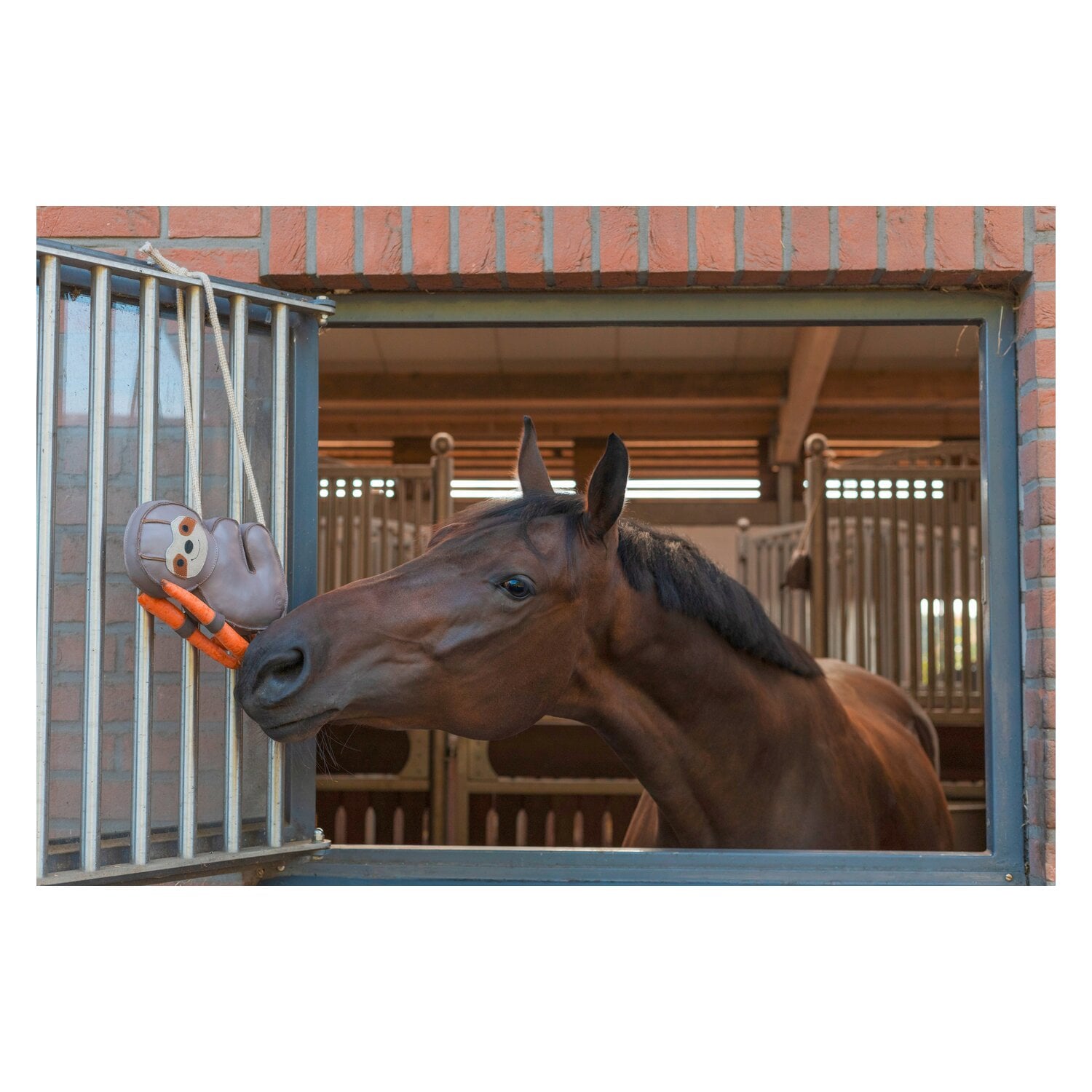 Cavallo Pferdespielzeug Cavaltru &ndash; Ansicht 2