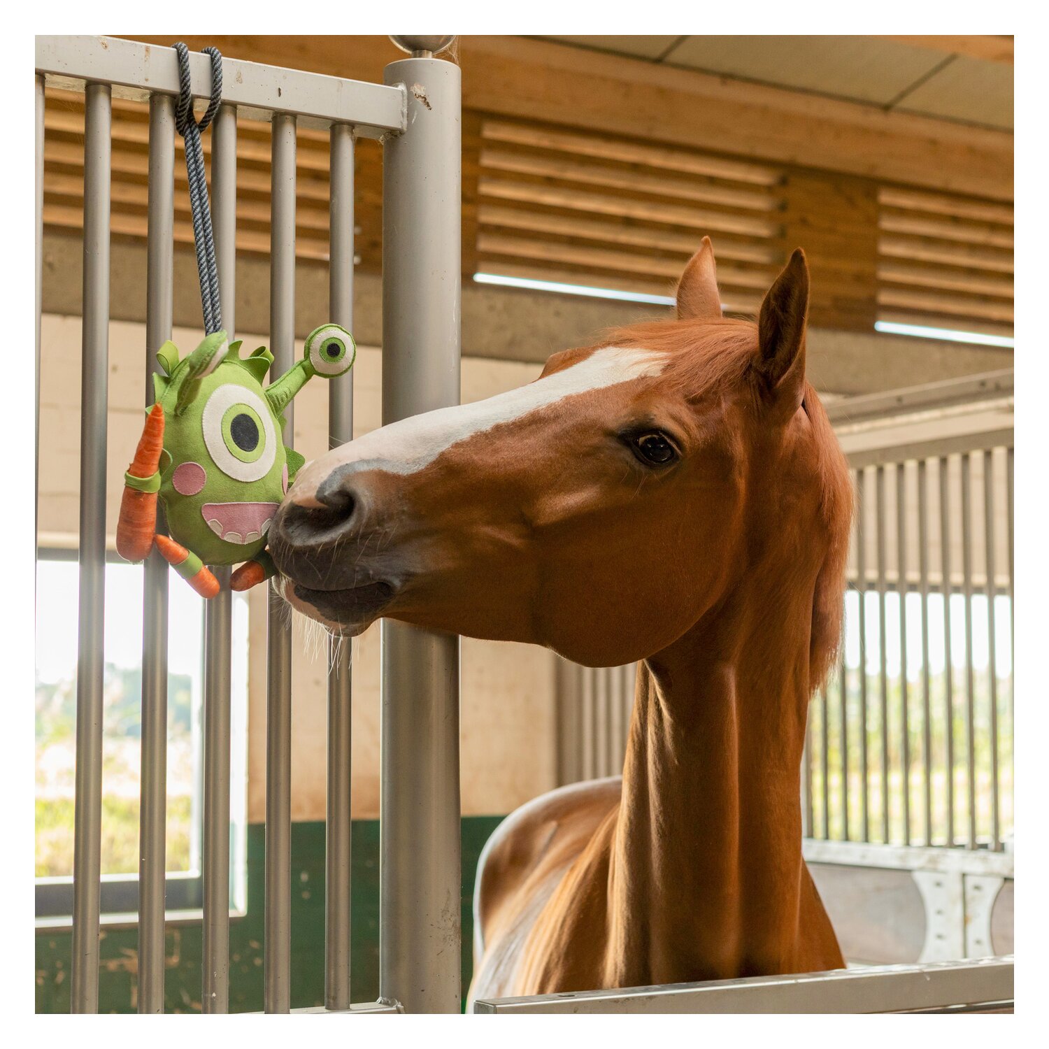 Cavallo Pferdespielzeug Cavaltia &ndash; Ansicht 2